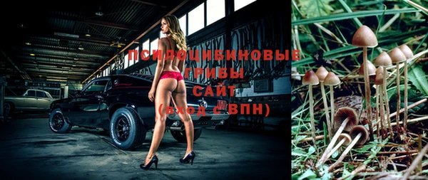 мяу мяу кристалл Богданович