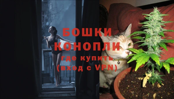 мяу мяу кристалл Богданович