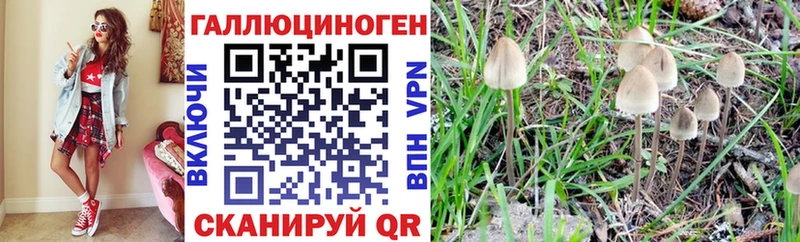 Галлюциногенные грибы MAGIC MUSHROOMS закладка Миньяр